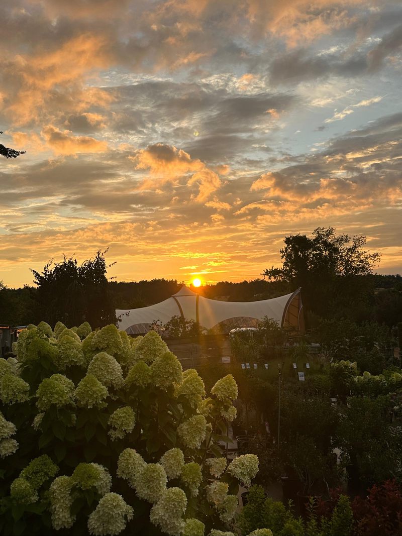 Sonnenuntergang über den Kuppeln von Sôltē
